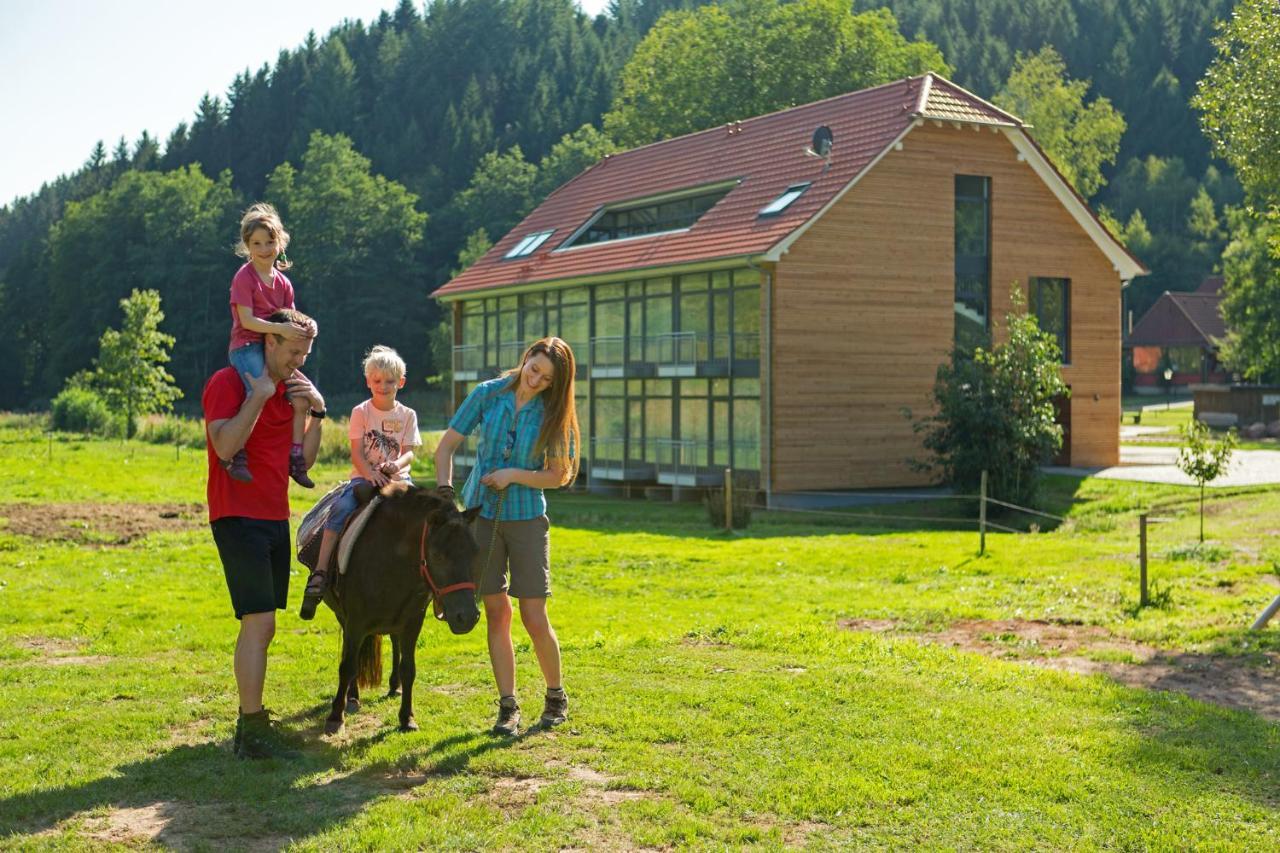 Landhotel Weihermuehle Thaleischweiler-Froschen Exterior foto